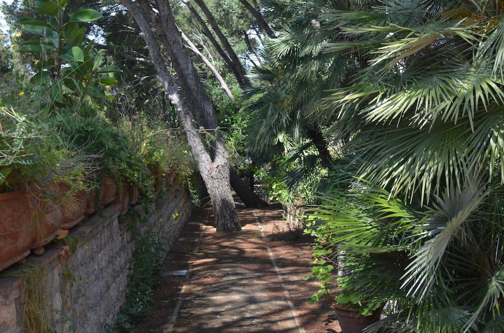Villacore كابري المظهر الخارجي الصورة