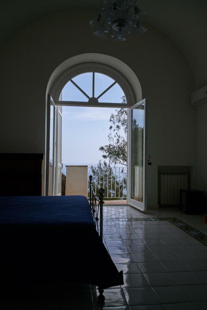 Villacore كابري المظهر الخارجي الصورة